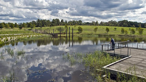 A photograph of someone looking out at the water at Sydney Park Wetlands